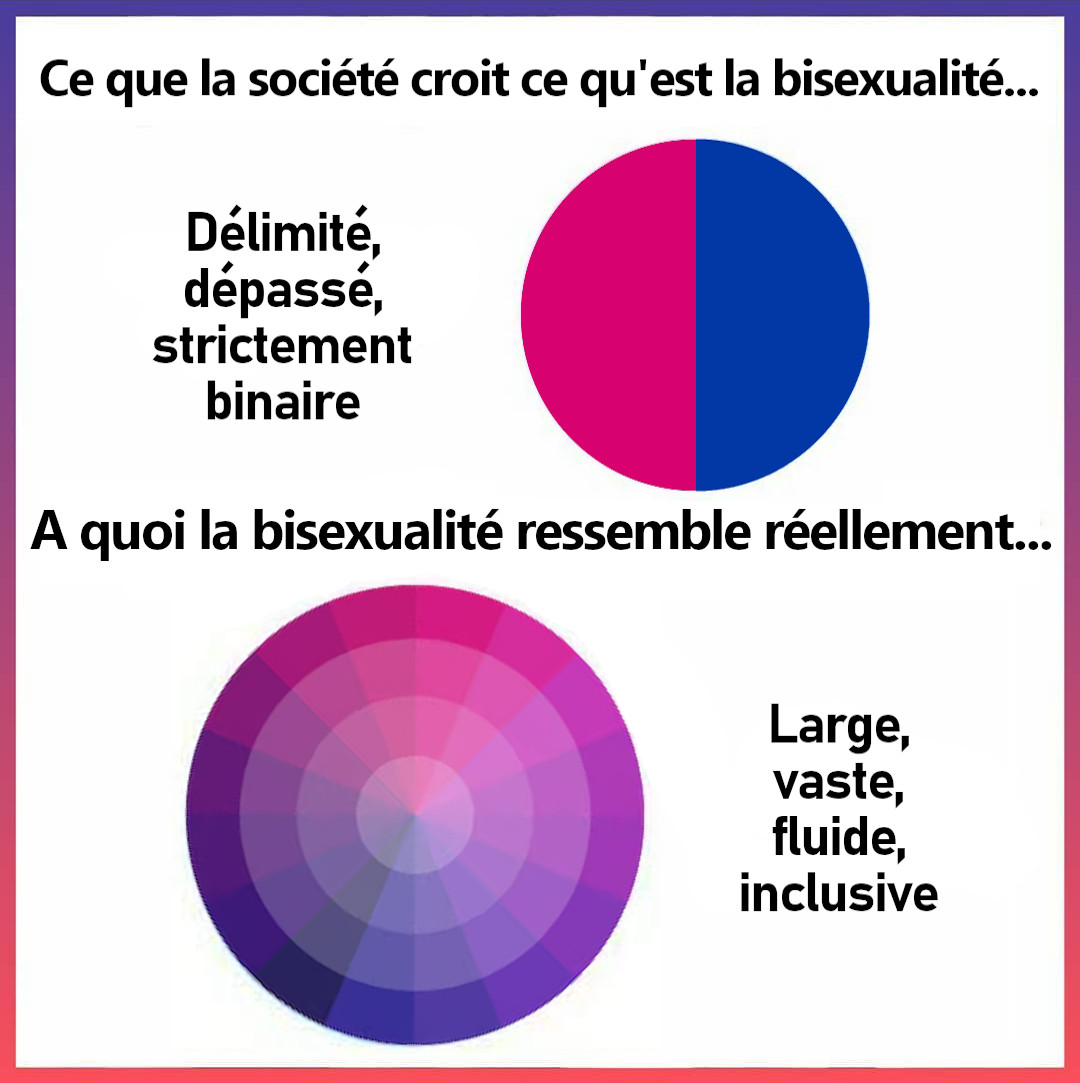 La bisexualité