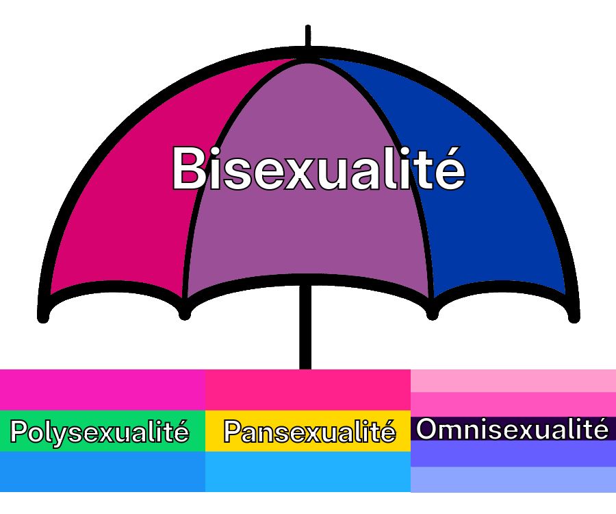 Le parapluie de la bisexualité